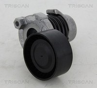 Triscan Riemenspanner, Keilrippenriemen U.A. FüR Dacia, Nissan, Renault
