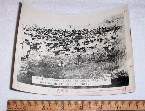 Texas Cattle Drive to Dodge City Kansas Cowboys 1878, impresión vintage del Viejo Oeste - Imagen 2 de 4