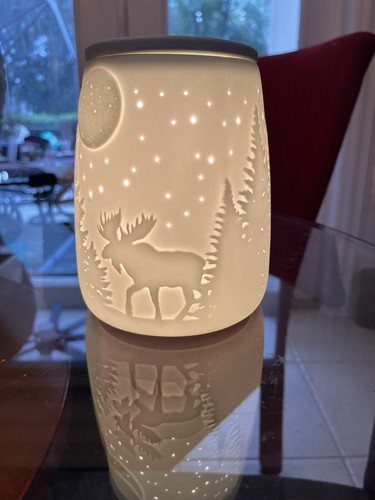 Starry Frontier Scentsy Warmer Used Very Nice, USES 25 WATT Bulb Not Included. - Picture 8 of 13
