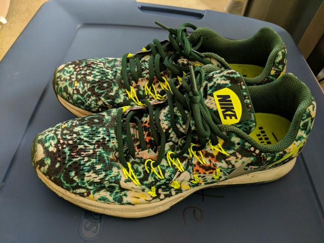 nike air zoom pegasus 33 le