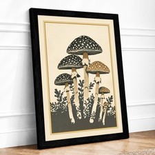 Spotted Mushroom Study Botanical Framed Wall Art Canvas Print Home Decor Picture