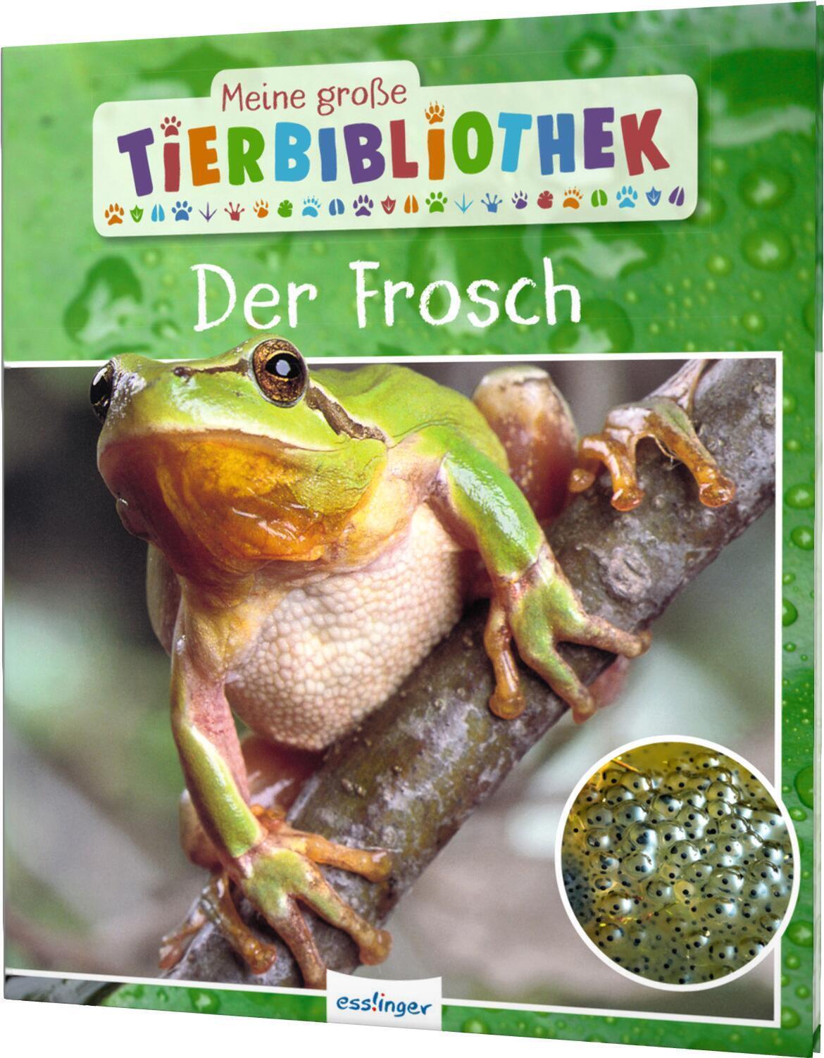 Thumbnail - Meine Große Tierbibliothek: Der Frosch | Paul Starosta | Buch | 32 S.
