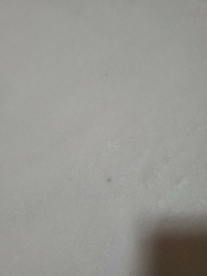 Mensajes del Corazón Oso Bebé Cuna Manta Blanco Vellón Sandra Magsamen Foto 3 de 4