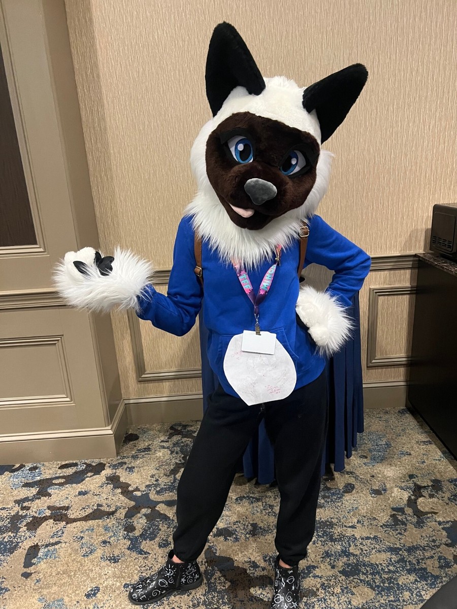 Siamese cat fursuit head and tail Oneandonlycostumes