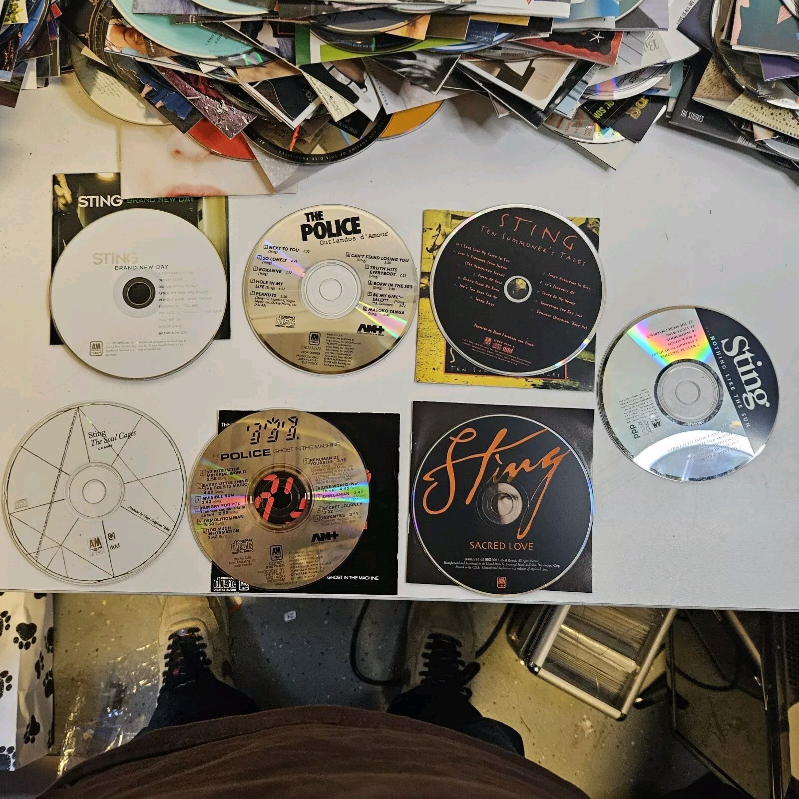 Lot Of 7 Sting Music CDs! Great CD Lot! | eBay