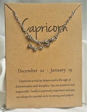 20' Silver Astrology Constellation Horoscope Necklace with CZ Stones - Capricorn