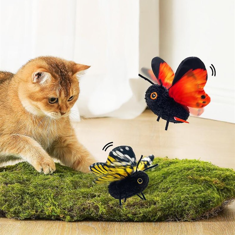 Cat playing with flapping butterfly toy