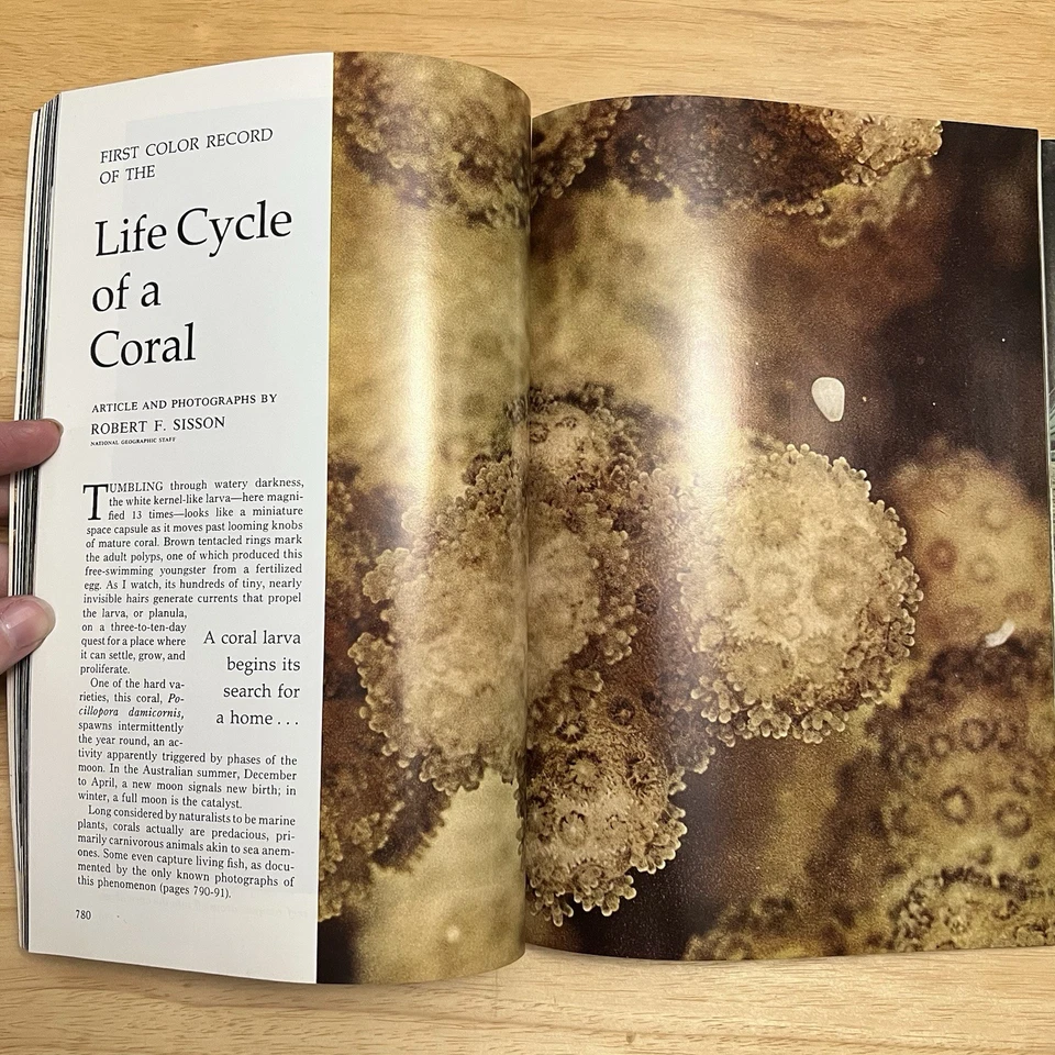 Vintage National Geographic June 1973 Great Barrier Reef Canada Tennessee Valley - Image 4 of 4