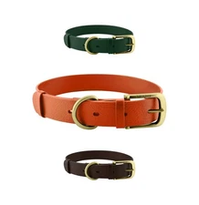 Classic Heavy Duty Dog Collar 100% Waterproof Odor Proof All Metal Hardware