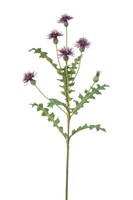 Artplants Deko Kornblume Xavannah, Violett, 95Cm