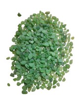 Genuine Green Sea Glass Lot Surf Tumbled Beach Glass, Craft Jewelry Bulk 12oz. 