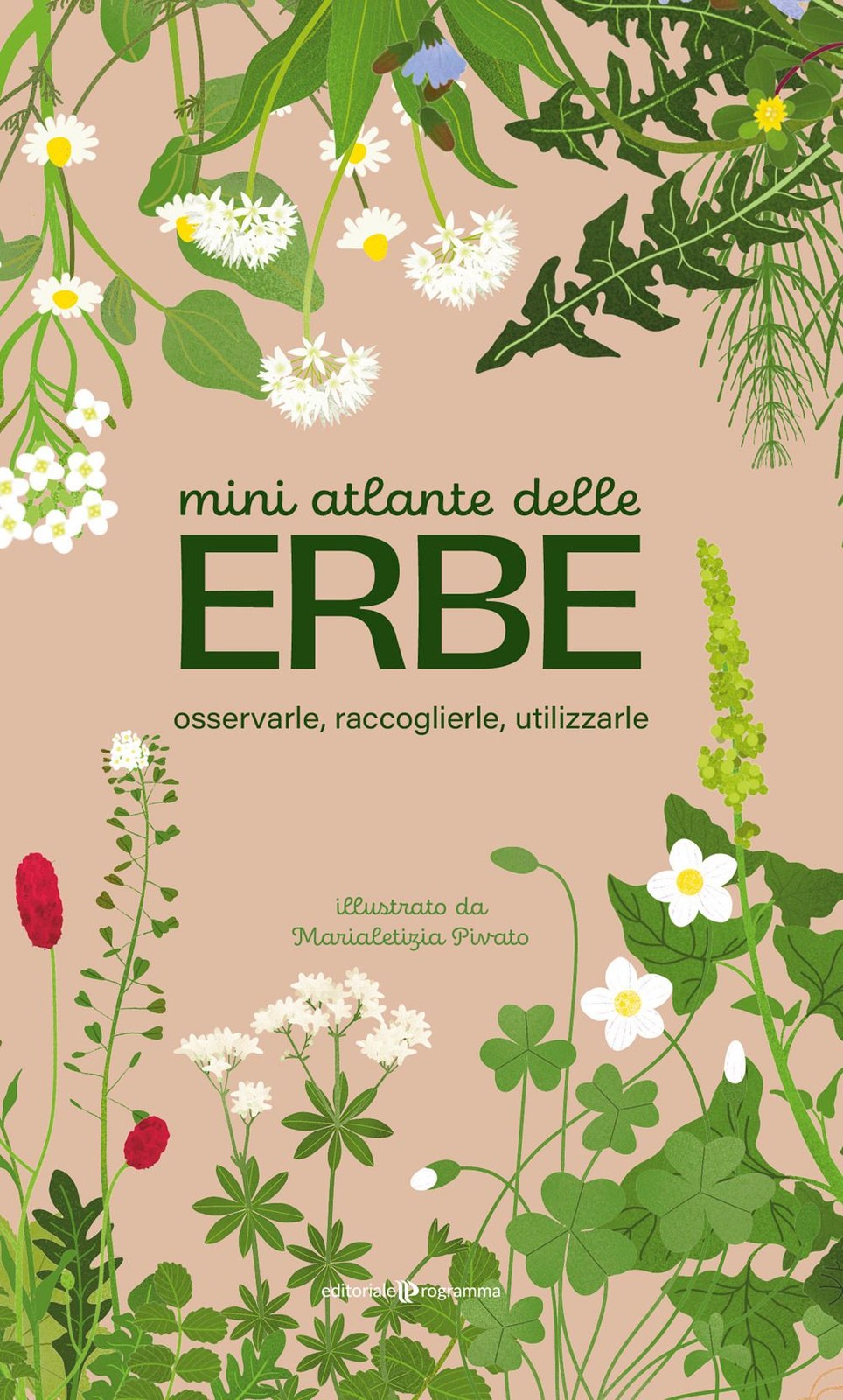 Libri Mini Atlante Delle Erbe. Osservarle, Raccoglierle, Utilizzarle