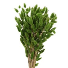 Hasenschwanzgras Trockendeko f&uuml;r Trockenblumenstr&auml;u&szlig;e und Boho-Dekoration
