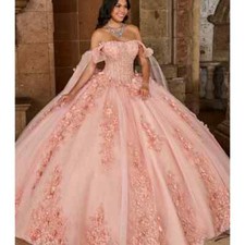 Pink Quinceanera Dress Ball Gown 3D Floral Applique Beading Bow Corset Sweet 16