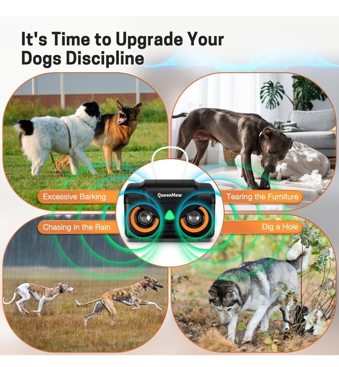 Excessive Barking Stop Dog Barking Training Puppy Training Dog