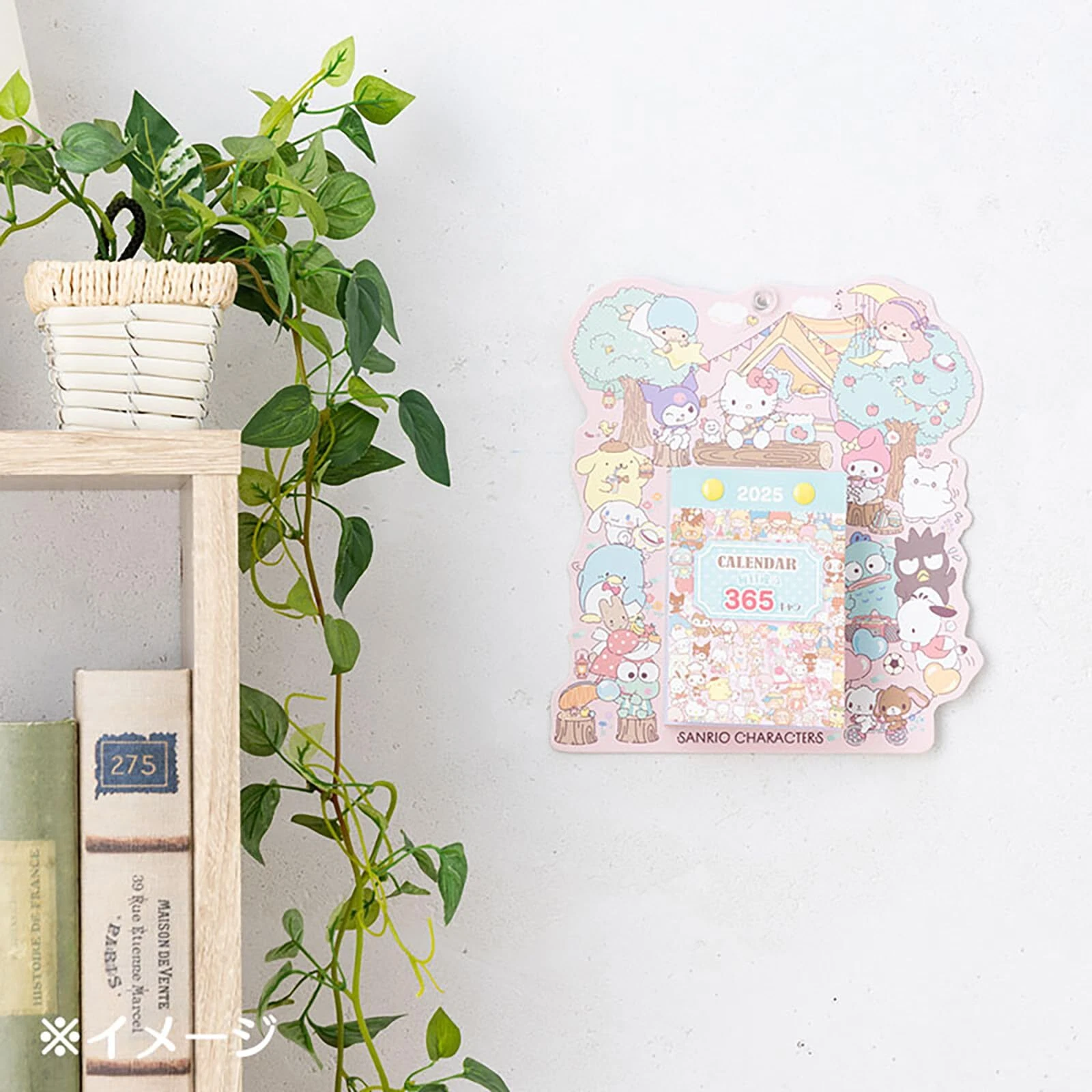 Sanrio Sanrio Daily Wall Calendar 2025 Sanriocharacters Wall Hanging 451495 697 - Picture 4 of 4