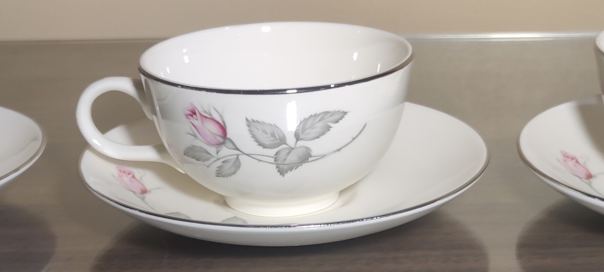 Zylstra Rose Fine China 20-Piece Set USA Permacal Silver Trim