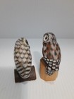 Bild 4 von 11