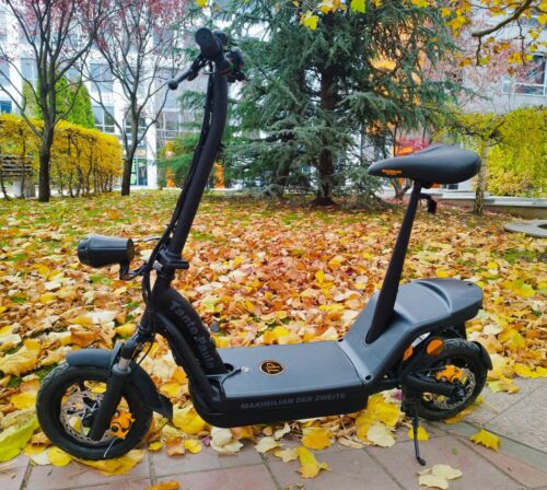 TANTE PAULA Maximilian 2, E-scooter 1000 Watt - NEW