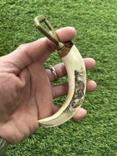 African Will Boar Tusk