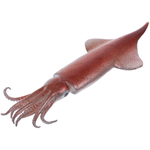 Fake Fish Decoration Artificial Meat for Display Squid Toys Model - Imagen 5 de 12