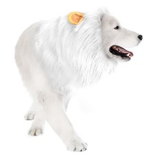 Dog Lion Mane Costume - Realistic with Ears f...