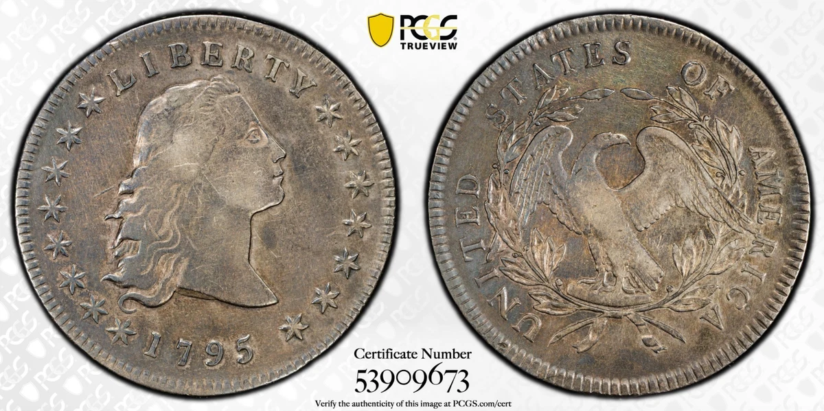 1795 Silver US Early Dollar Coins for sale | eBay