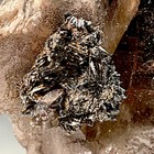 SS Rocks - Smoky Quartz with "Bladed" Goethite (Lake George, Colorado) 41g — photo 8