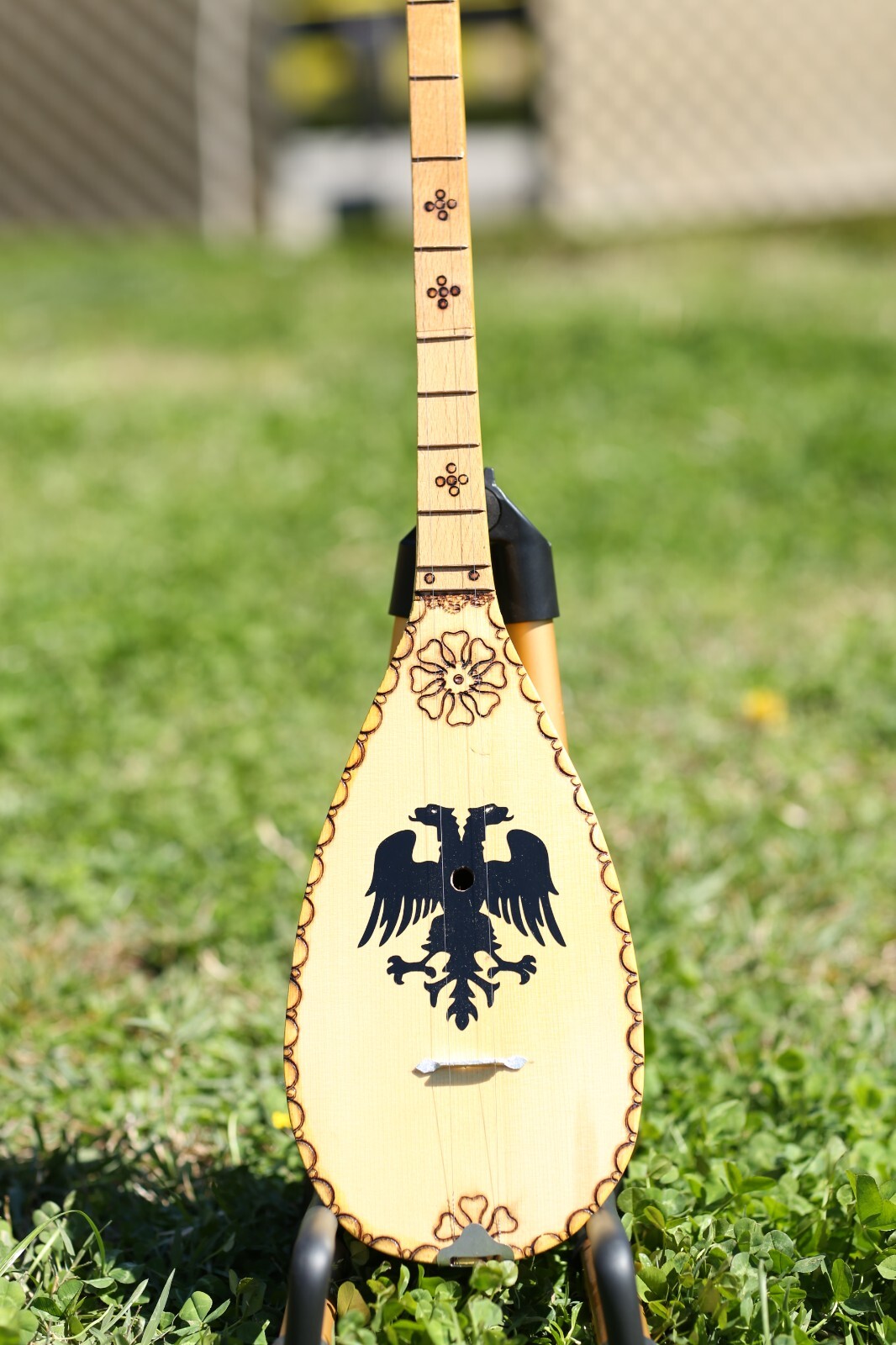 Picture 6 of 14