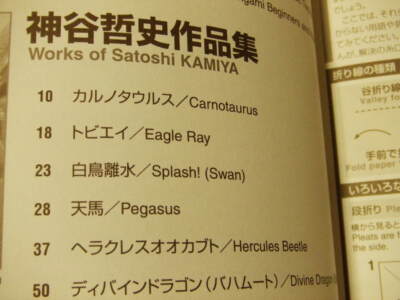 Works of Satoshi Kamiya 1995-2003 book origami art how to