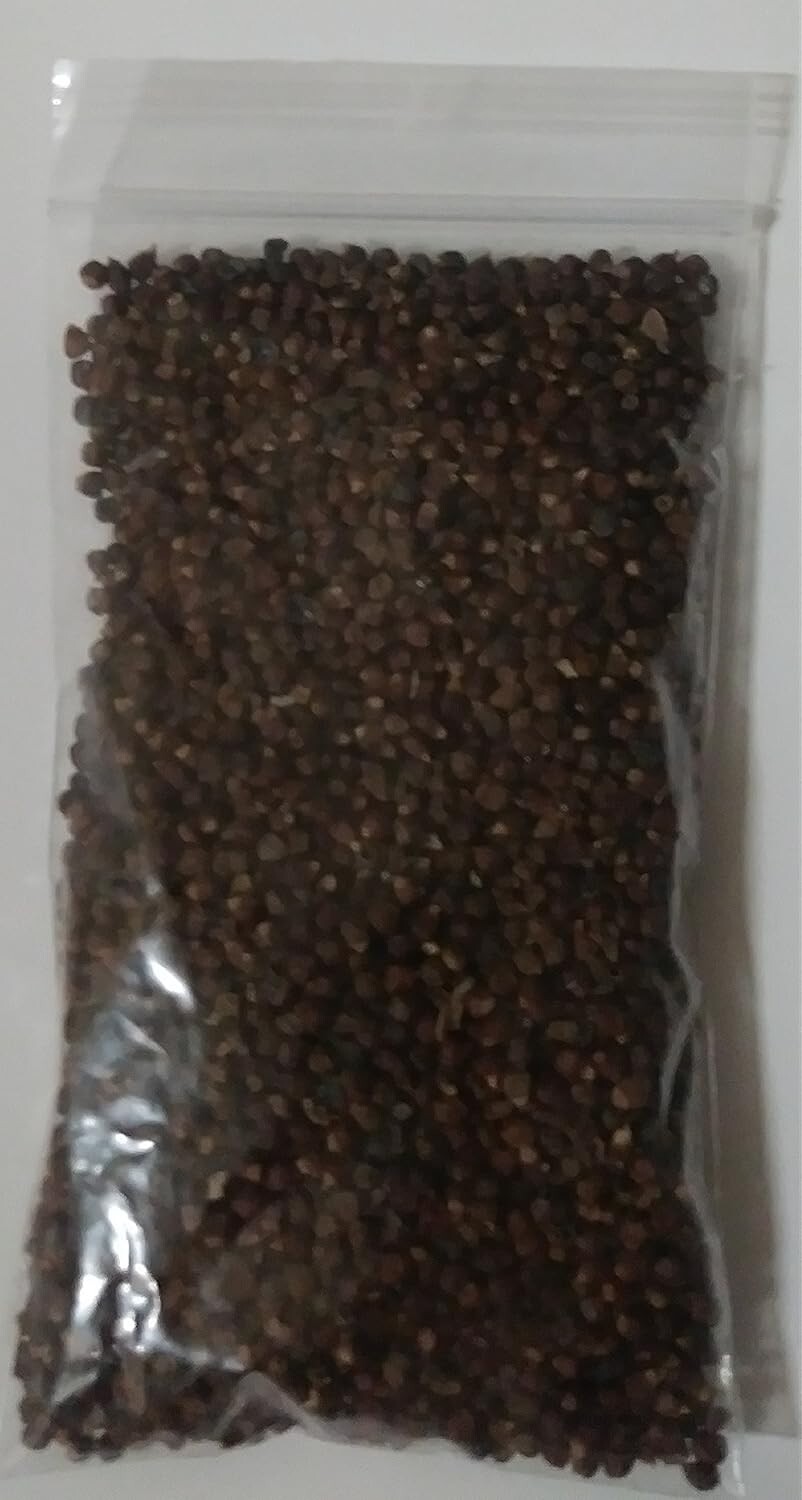 PIMIENTA DE GUINEA PEPPER GUINEA 2 OZ SANTERÍA IFA YORUBA ORISHA SANTERIA CUBANA