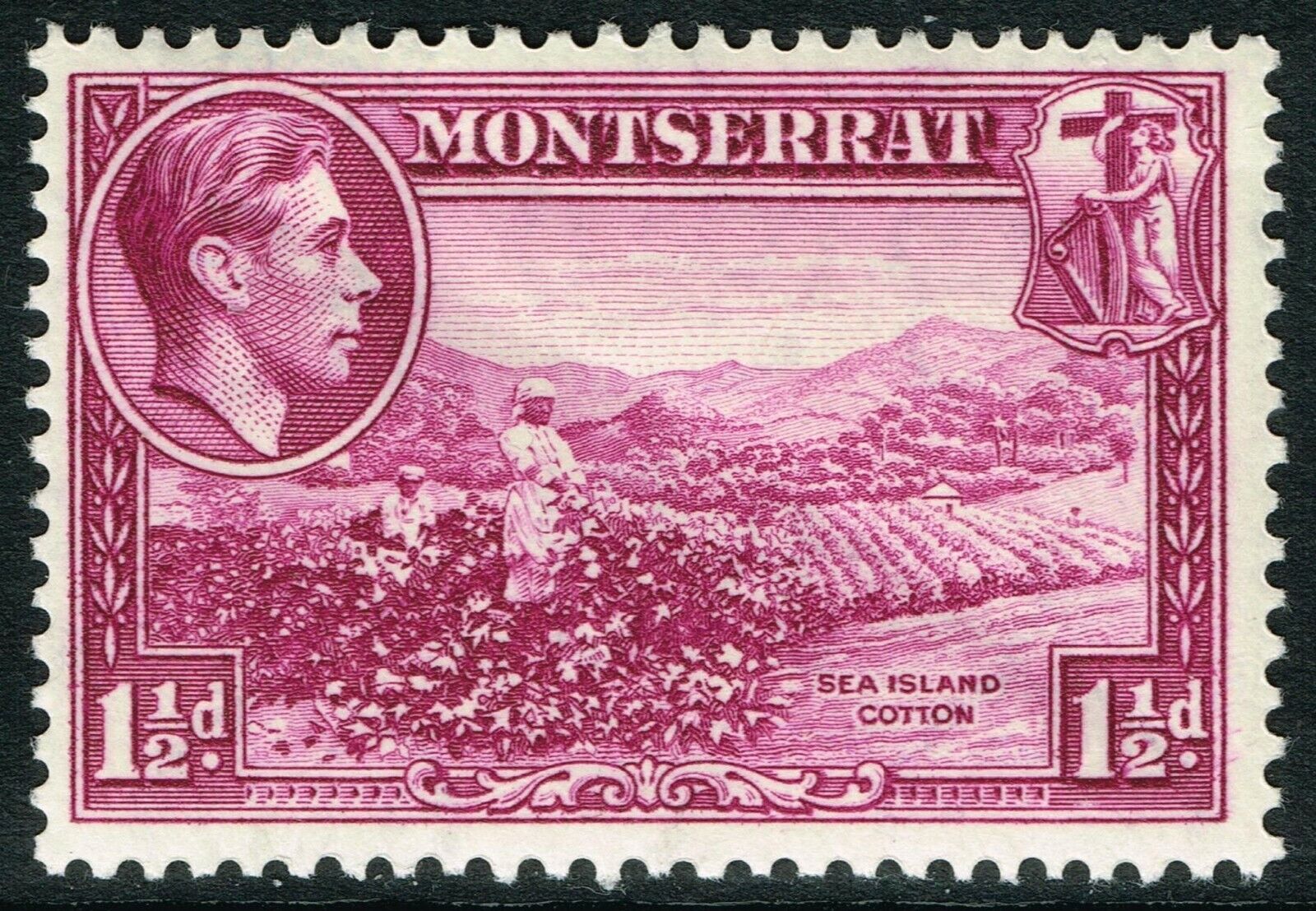 SG 103 Limited time for free shipping MONTSERRAT 1938 Beauty products – perf. THREEHALFPENCE PURPLE MOUN 13