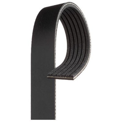 Gates Keilrippenriemen 5750ZH 96155949 96155951 96211951 88GB450P670 20940346