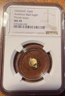 GOLD NGC Certified MS70 Gold American Bald Eagle Private Issue 1/500 Oz #223
