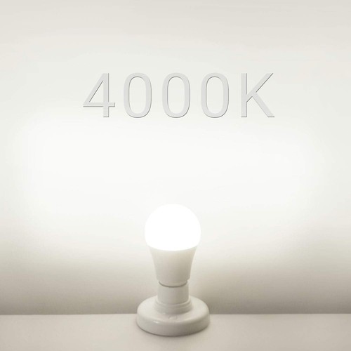 12V-24V AC/DC 12W LED Edison Bulbs, Natrual White 4000K, 1050 Lumens A19 E26 Li - Picture 4 of 6