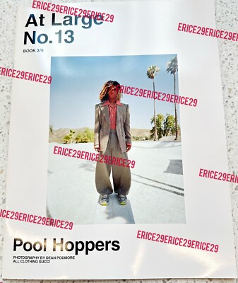 At Large No. 13 Book 3/6 Pool Hoppers Dean Podmore Gucci Lari Pittman Dior