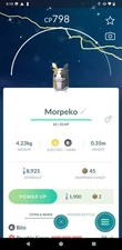 Shiny Morpeko - Read Description