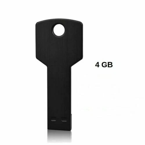 Lecteurs flash USB sans marque, 4 Go