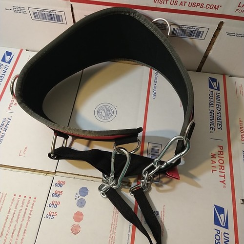 Dip Belt for Weight lifting Weighted Belt with Chain & Back Support for Strength - Picture 10 of 10