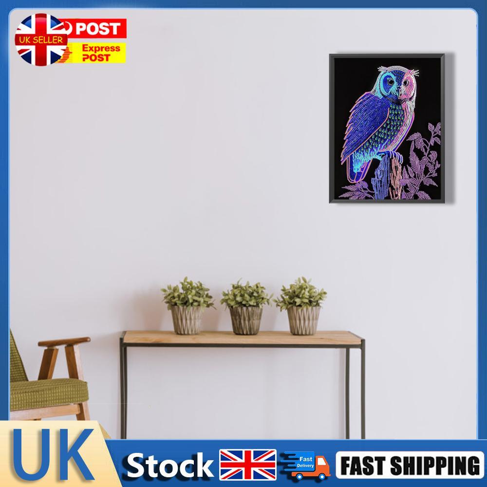 5D DIY Partial Special Shaped Drill Diamond Painting Kit Owl Home Decor ( LY012) | eBay