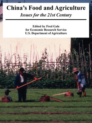 China's Food and Agriculture | Issues for the 21st Century | Service (u. a.)