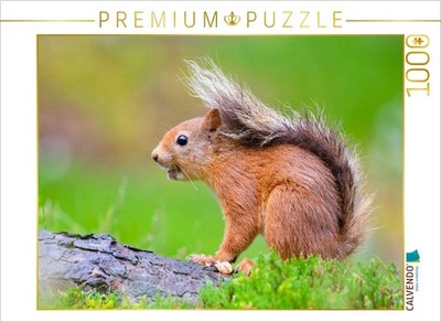 CALVENDO Puzzle Zähne zeigen | 1000 Teile Lege-Größe 64x48cm Foto-Puzzle für glü