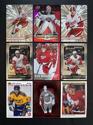 Detroit Red Wings Fan Lot (68) 1990-Present  A Great Gift Idea For Any Fan! 