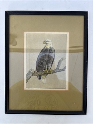 BENSON B MOORE American Bald Eagle Etching Hand Painted Signed Limited 1/40 Rare