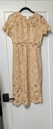 NSR Lace Short Sleeve Sheath Midi Dress