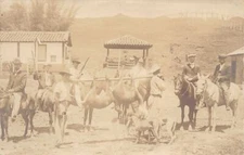 Argentina - SANTA MARIA - Cazadores de Pudu - REAL PHOTO - Año 1908