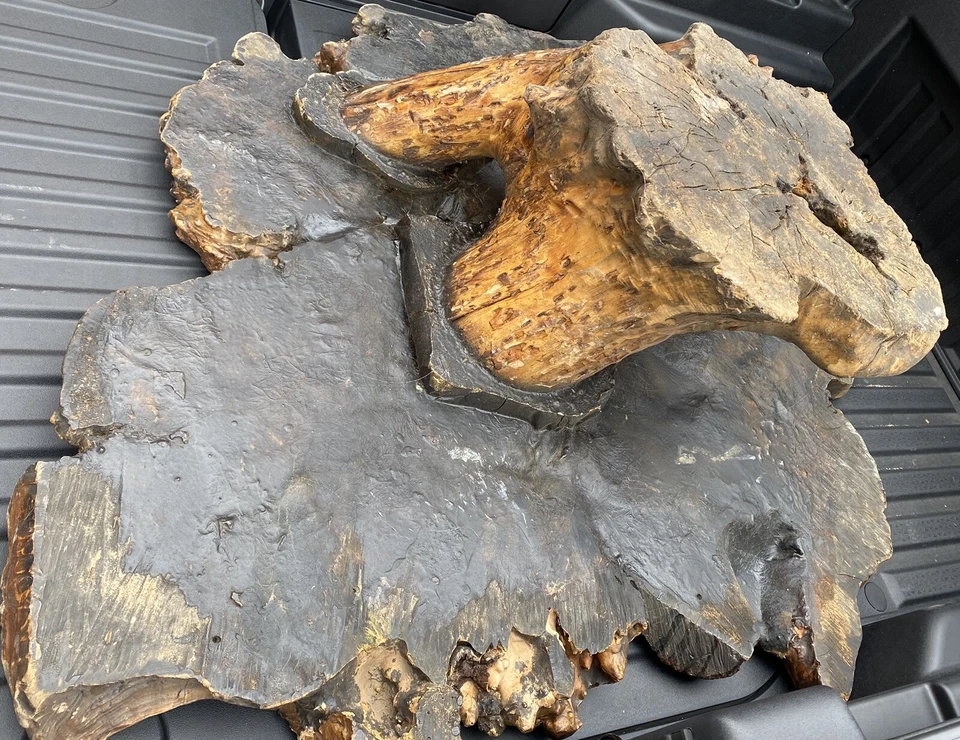 Madera roja de los años 70 •• Burl •• tocón de árbol mesa de centro diseño cabaña de troncos decoración loft Foto 2 de 2