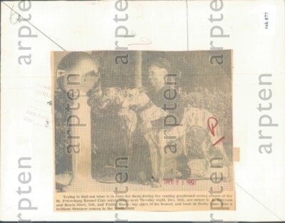 1950 St Petersburg Kennel Club Alderson Bowie Steel Paddy Barry Press  Photo
