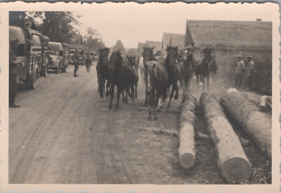 (RB)2024-96, Photo, Russians Horses Coming From Pasture Front Feet Bound 1941