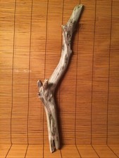 Beautiful 27" DRIFTWOOD Piece Terrarium Taxidermy Aquarium Art Reptile DECOR